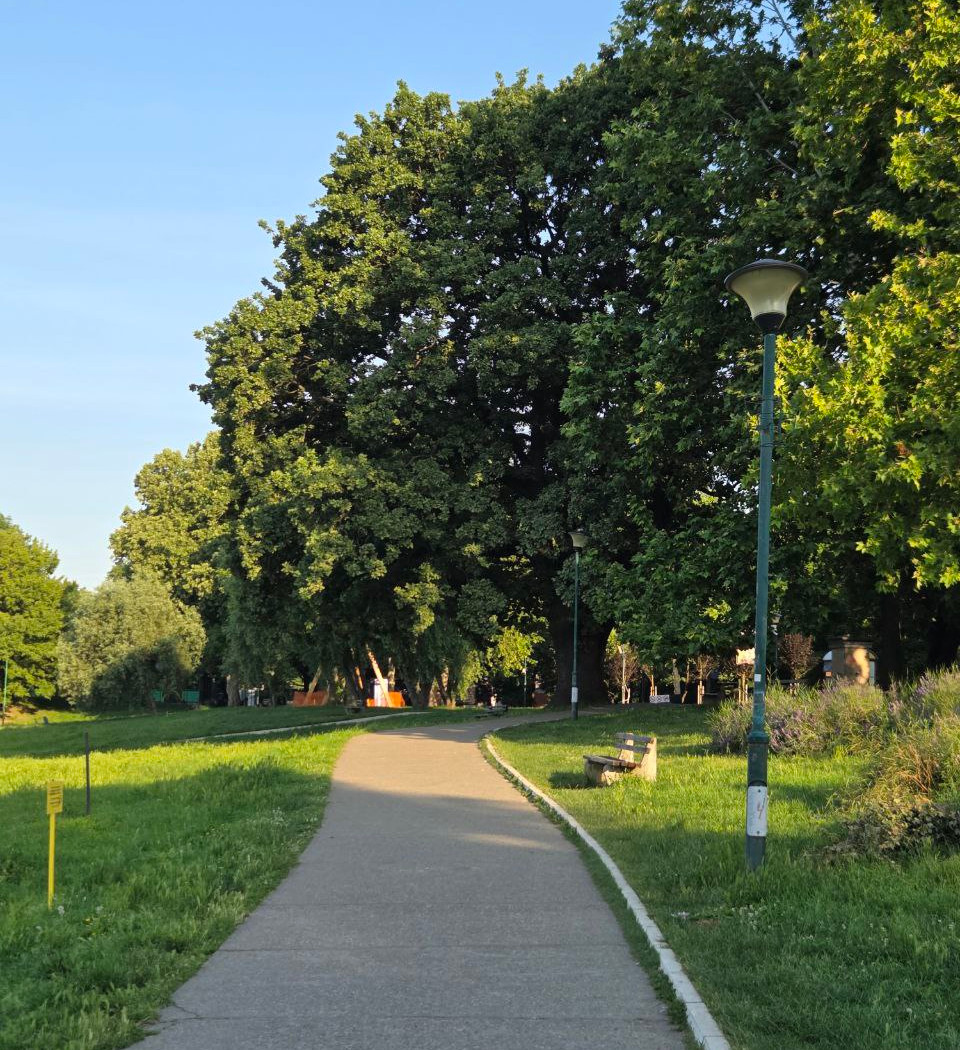 Morning Chain Run 2025: Ada Ciganlija